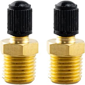 2PCS Tank Valve, Anti-Corrosion Schrader Valve Standard Valve Core with 1/4'' Male NPT for Air Compressor Tanks