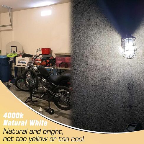 E17 LED Light Bulb 10 Watt Equivalent 100W 6000K Daylight White 1000lm 120V E17 Intermediate Base LED Bulb for Desk Lamp,Ceiling Fan Lights, Headboard Reading Lights, Non-Dimmable, 3 Pack in Kuwait