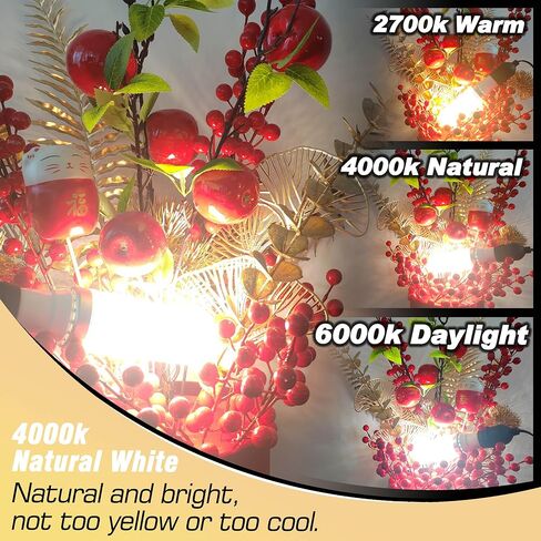 E17 LED Light Bulb 10 Watt Equivalent 100W 6000K Daylight White 1000lm 120V E17 Intermediate Base LED Bulb for Desk Lamp,Ceiling Fan Lights, Headboard Reading Lights, Non-Dimmable, 3 Pack in Kuwait