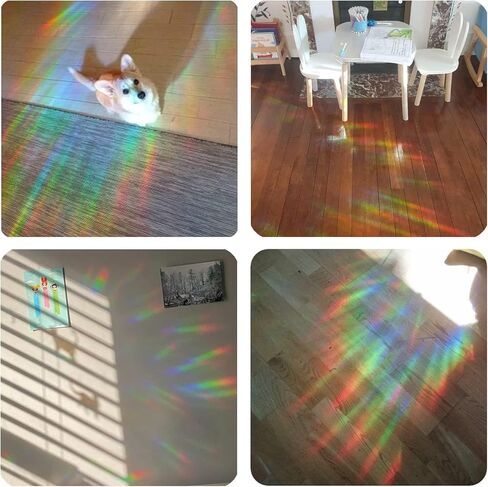 Window Decals for Bird Strikes，100 Pcs Star Style Anti Collision Rainbow Window clings for Bird Strike Prevention,Rainbow Stickers to Save Birds No Glue Required in Saudi Arabia
