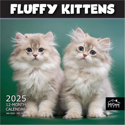 MICASA Cat Naps 2024 Hangable Monthly Wall Calendar | 12" x 24" Open | Thick & Sturdy Paper | Giftable | Teen Kids Funny Cute Kittens | Sleeping Beauties in Saudi Arabia