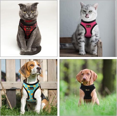 حزام للكلاب من بلوتوس، حزام ناعم عاكس قابل للتعديل للكلاب، صدرية للكلاب قابلة للتنفس للقطط والجرو والكلاب المتوسطة الصغيرة (M، أحمر) in Kuwait