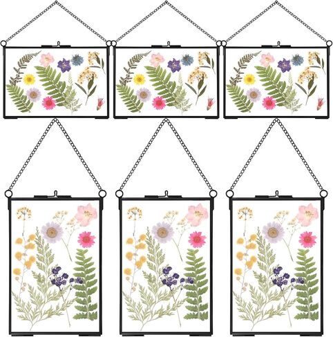 6 Pieces Brass Double Glass Frame 5 x 7 Inch Gold Floating Hanging Photo Frame Clear Horizontal and Vertical Pressed Flower Frames with Chain for Gallery Pictures Vintage Artwork Display in Saudi Arabia
