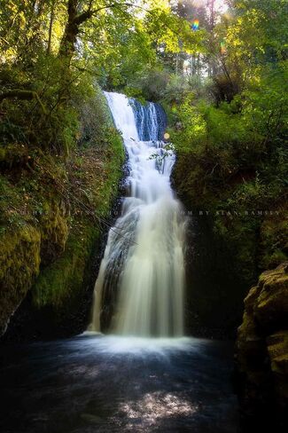 Waterfall Photography Print (Not Framed) Vertical Picture of Bridal Veil Falls near Portland Oregon Pacific Northwest Wall Art Nature Decor (12" x 18") in Saudi Arabia