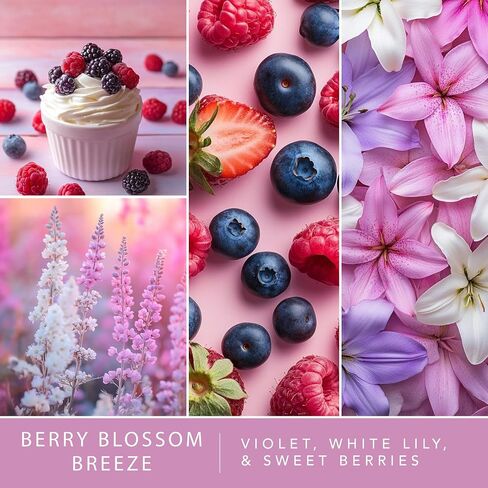 ScentSationals Wax Melts Down to Earth 4pk – Long Lasting Wax Cubes with Strong Scent for Warmers, Includes Cedar & Lavender, Honeysuckle Nectar, Berry Blossom Breeze & Ripe Cherries – 10oz (24-Cubes) in Saudi Arabia