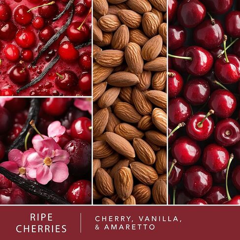 ScentSationals Wax Melts Down to Earth 4pk – Long Lasting Wax Cubes with Strong Scent for Warmers, Includes Cedar & Lavender, Honeysuckle Nectar, Berry Blossom Breeze & Ripe Cherries – 10oz (24-Cubes) in Saudi Arabia