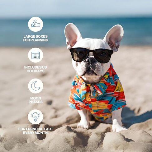 تقويم حائط Fun Dogs 2024 - Frenchies French Bulldog - مخطط عائلي كبير ومنظم يومي مع صور شهرية لطيفة - تصميم نحيف 2024 مخطط حائط وهدية - تقويم ممتع in Kuwait
