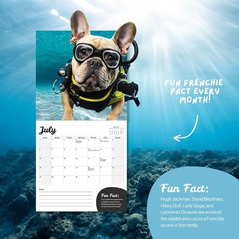تقويم حائط Fun Dogs 2024 - Frenchies French Bulldog - مخطط عائلي كبير ومنظم يومي مع صور شهرية لطيفة - تصميم نحيف 2024 مخطط حائط وهدية - تقويم ممتع in Kuwait