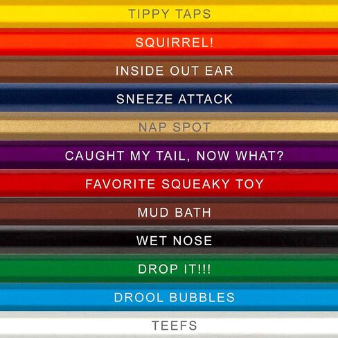 Kitty Colors Colored Pencil Set for Cat Lovers - 12 Hilarious Puss-Inspired Parody Pencils - Each Color Pencil is Foil-Stamped with Cat References - Cat Gift for Cat Lovers in Kuwait