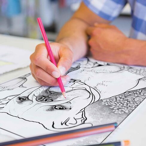 Kitty Colors Colored Pencil Set for Cat Lovers - 12 Hilarious Puss-Inspired Parody Pencils - Each Color Pencil is Foil-Stamped with Cat References - Cat Gift for Cat Lovers in Kuwait