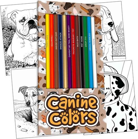 Kitty Colors Colored Pencil Set for Cat Lovers - 12 Hilarious Puss-Inspired Parody Pencils - Each Color Pencil is Foil-Stamped with Cat References - Cat Gift for Cat Lovers in Kuwait