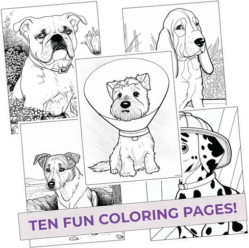 Kitty Colors Colored Pencil Set for Cat Lovers - 12 Hilarious Puss-Inspired Parody Pencils - Each Color Pencil is Foil-Stamped with Cat References - Cat Gift for Cat Lovers in Kuwait