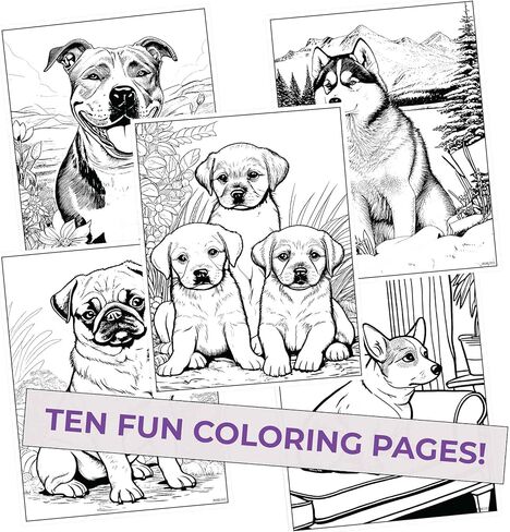 Kitty Colors Colored Pencil Set for Cat Lovers - 12 Hilarious Puss-Inspired Parody Pencils - Each Color Pencil is Foil-Stamped with Cat References - Cat Gift for Cat Lovers in Kuwait