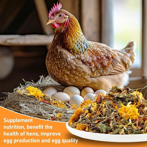 Chicken Nesting Herbs for Chicken Coop 10oz Chicken Nesting Box Herbs Chicken Herbs Chicken Feed Supplies Chicken Treats for Laying Hens in Saudi Arabia