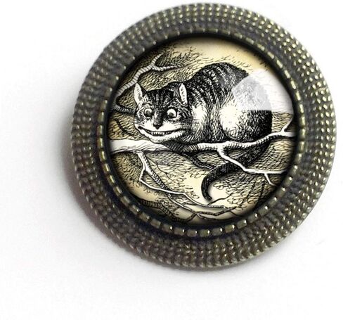 Alice In Wonderland Cheshire Cat Reverse Decoupage Glass And Brass Brooch in Saudi Arabia