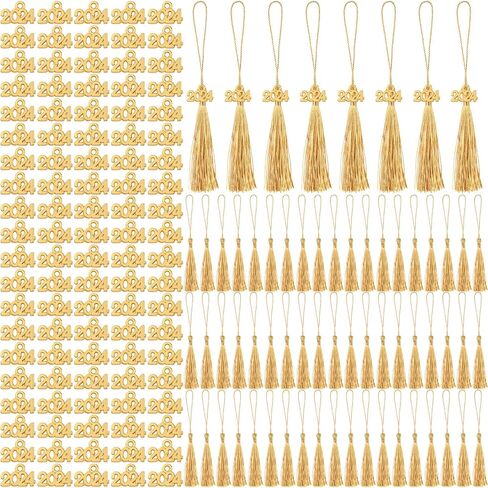 Cindeer 100 Pcs Mini Graduation Tassels with 100 Pcs 2024 Tassel Charms for Crafts Mini Silky Bookmark Tassels for Graduation Cap Keychain Ornaments DIY Craft Jewelry Making Project(Gold) in Saudi Arabia