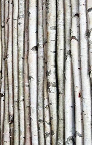 Wilson White Birch Poles, Natural, Kiln Dried, Home Decor Birch (4 Poles, 4 ft Long x 1.5-2.5 inch Diameter) in Saudi Arabia