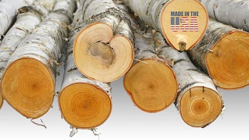 Wilson White Birch Poles, Natural, Kiln Dried, Home Decor Birch (4 Poles, 4 ft Long x 1.5-2.5 inch Diameter) in Saudi Arabia