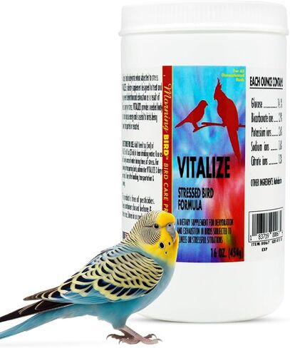 Morning Bird Vitalize, Supplement for Sick, Injured, or Stressed Caged Birds; Dehydration and Exhaustion Treatment for Parakeets, Cockatiels, Budgies, Finches, Canaries, and Parrots, 1 oz in Kuwait