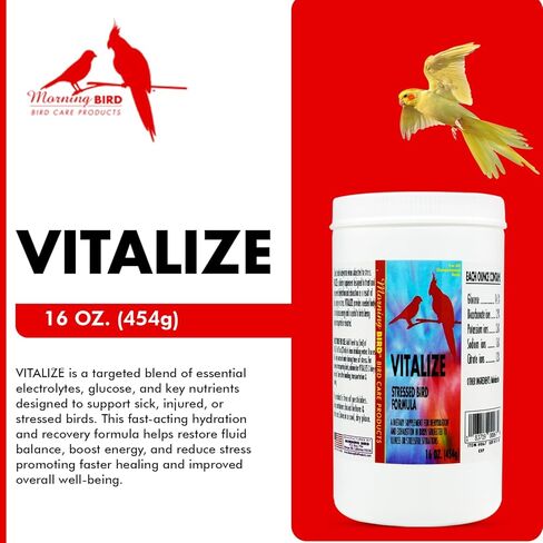 Morning Bird Vitalize, Supplement for Sick, Injured, or Stressed Caged Birds; Dehydration and Exhaustion Treatment for Parakeets, Cockatiels, Budgies, Finches, Canaries, and Parrots, 1 oz in Kuwait