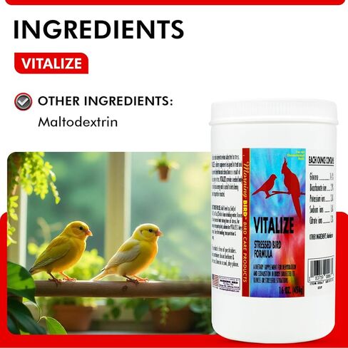 Morning Bird Vitalize, Supplement for Sick, Injured, or Stressed Caged Birds; Dehydration and Exhaustion Treatment for Parakeets, Cockatiels, Budgies, Finches, Canaries, and Parrots, 1 oz in Kuwait