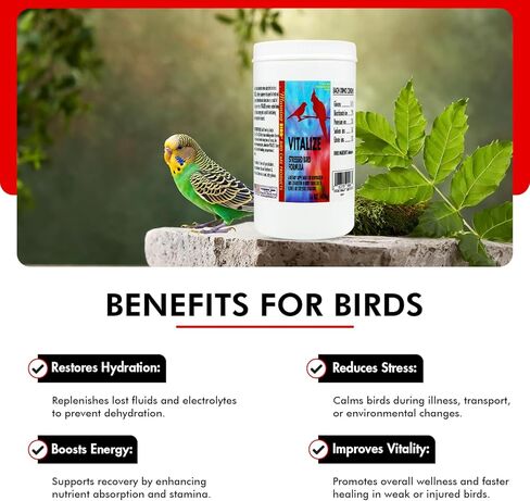 Morning Bird Vitalize, Supplement for Sick, Injured, or Stressed Caged Birds; Dehydration and Exhaustion Treatment for Parakeets, Cockatiels, Budgies, Finches, Canaries, and Parrots, 1 oz in Kuwait