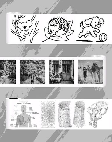 vretti Colorful Adhesive Thermal Sticker Paper for TP6-S/TP6 Pocket Printer, 57mm *30mm, 3 Rolls for Journal, Photos, Notes, Kids Gift in Kuwait