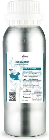 Eucalyptus Essential Oil from Bio-Young Aromas in China - Eucalyptus Essential Oils for Skin and for Diffuser - Aceite de Eucalipto Bulk Bulk (22lbs) in Kuwait