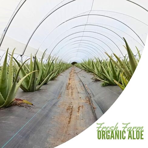 Naturae Healthy- Organic Aloe Vera Juice with Pulp – Cold-Processed from Fresh Leaves – Pure, Natural & Vegan- 33.8 fl oz in Saudi Arabia