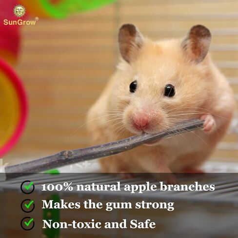 SunGrow Apple Sticks, 7 oz Wood Chew Sticks for Rabbits, Chinchillas, Bunny, Hamster, Squirrel, Guinea Pigs, 6" Small Animals Molar Pet Chew Treat Sticks for Teeth Grinding, 40 Per Pack in Kuwait