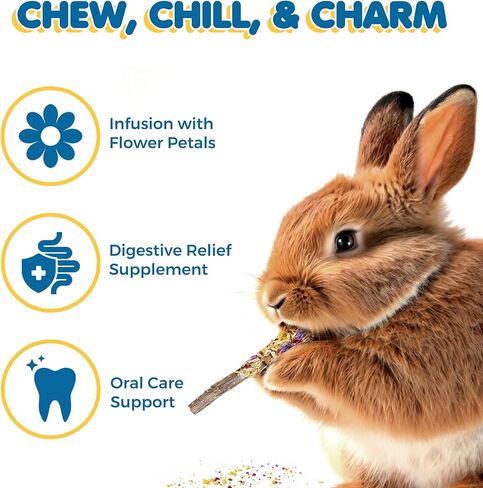 عصي التفاح من صن جرو، 7 أونصة من أعواد المضغ الخشبية للأرانب، والشنشيلا، والأرنب، والهامستر، والسنجاب، وخنازير غينيا، وعصي مضغ الحيوانات الأليفة الصغيرة بحجم 6 بوصات لطحن الأسنان، 40 في كل عبوة in Kuwait