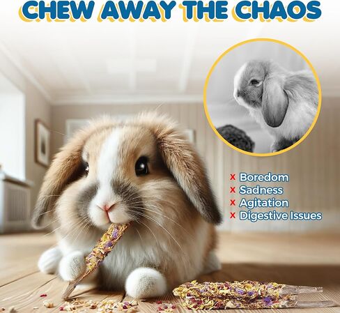 عصي التفاح من صن جرو، 7 أونصة من أعواد المضغ الخشبية للأرانب، والشنشيلا، والأرنب، والهامستر، والسنجاب، وخنازير غينيا، وعصي مضغ الحيوانات الأليفة الصغيرة بحجم 6 بوصات لطحن الأسنان، 40 في كل عبوة in Kuwait