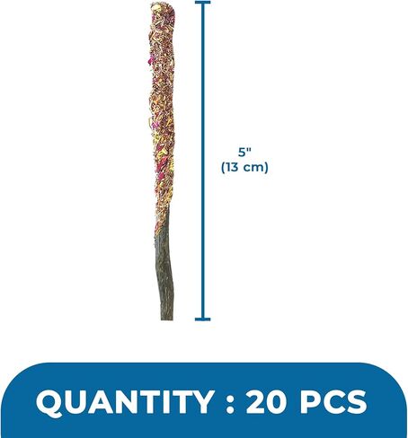 عصي التفاح من صن جرو، 7 أونصة من أعواد المضغ الخشبية للأرانب، والشنشيلا، والأرنب، والهامستر، والسنجاب، وخنازير غينيا، وعصي مضغ الحيوانات الأليفة الصغيرة بحجم 6 بوصات لطحن الأسنان، 40 في كل عبوة in Kuwait