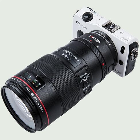 محول تركيب عدسة EF-EOS R حلقة محول عدسة التركيز التلقائي لعدسات سلسلة Canon EF/EF-S لكاميرات Canon EOS R RP R3 R5 R50 R6 R6II R7 R8 R10 R100 in Kuwait