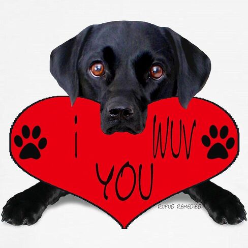 Cafepress Black Lab Valentine Kids Baseball Jersey Kids Cotton Baseball Jersey ، 3/4 Raglan Sleeve Shirt in Saudi Arabia