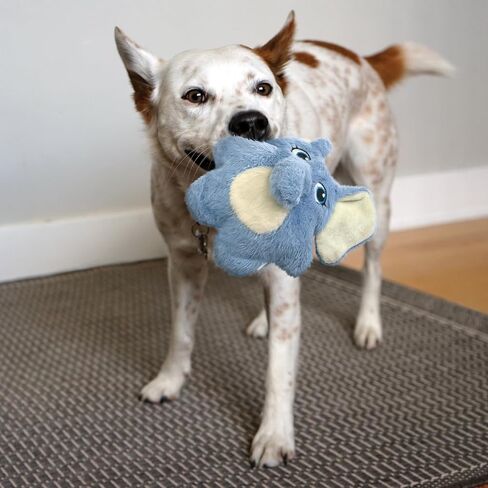 KONG Company 38749848: Snuzzles Kiddos Dog Toy, Elephant Sm in Saudi Arabia