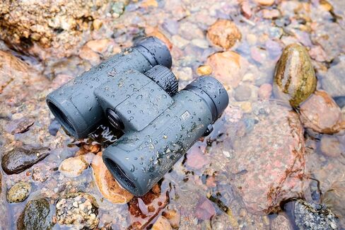 مجموعة مناظير Nikon Prostaff P3 10x42 (16777) سوداء مع قلم عدسة وقماش - مناظير مدمجة عالية الطاقة للكبار للصيد ومشاهدة الطيور وأساسيات المشي لمسافات طويلة، تكبير السفر خفيف الوزن in Saudi Arabia