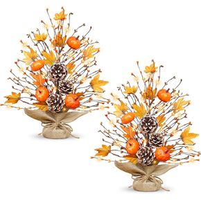 توقيت - 2 عبوة 18 بوصة سقوط شجرة السقوط المضاءة للمنزل ، شجرة القيقب السقوط مع القرع pinecones 40 LEDS تشغيل البطارية ، شجرة الطاولة الاصطناعية للديكور الخريف عيد الشكر المنزل الداخلي in Kuwait