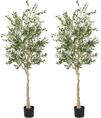 Safeplus 2 Pack 6ft شجرة زيتون اصطناعية مع ثمار نابضة بالحياة للديكور في الهواء الطلق الداخلي in Kuwait