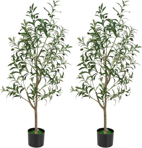 Safeplus 2 Pack 6ft شجرة زيتون اصطناعية مع ثمار نابضة بالحياة للديكور في الهواء الطلق الداخلي in Saudi Arabia