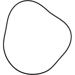 GM Genuine Parts 89047953 Differential Carrier Cover Seal