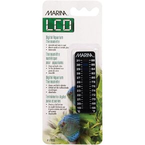 مارينا "دياميتورادو"، 66 إلى 88 فهرنهايت / 19 إلى 31 درجة مئوية in Kuwait