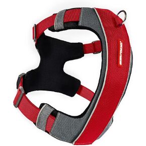 EzyDog Premium X-Link Adjustable No-Pull Reflective Dog Harness (X-Small, Black)