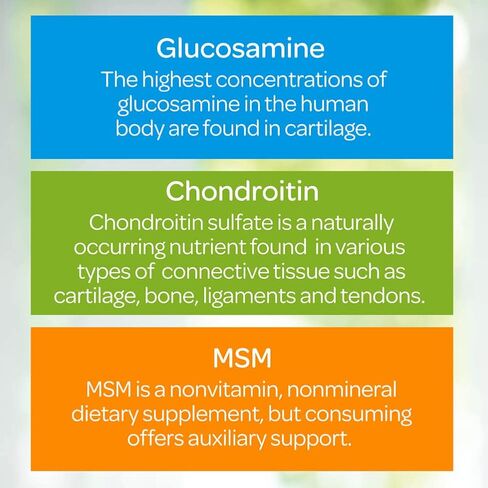 Puritan's Pride Glucosamine, Chondroitin & MSM-2 Caplets Per Day Formula in Saudi Arabia