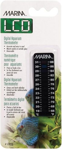 مارينا "دياميتورادو"، 66 إلى 88 فهرنهايت / 19 إلى 31 درجة مئوية in Kuwait