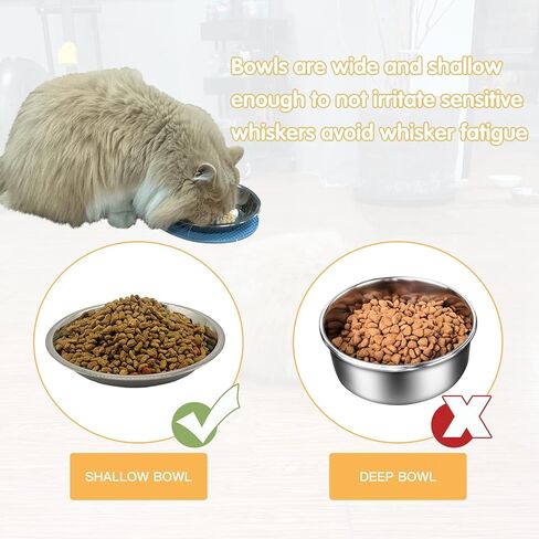 أطباق طعام للقطط الضحلة من الفولاذ المقاوم للصدأ طبق للقطط واسع وأطباق للكلاب الصغيرة وتخفيف التعب للقطط الصغيرة والجرو والهامستر 4 قطع (قطر 6.1 بوصة. in Kuwait