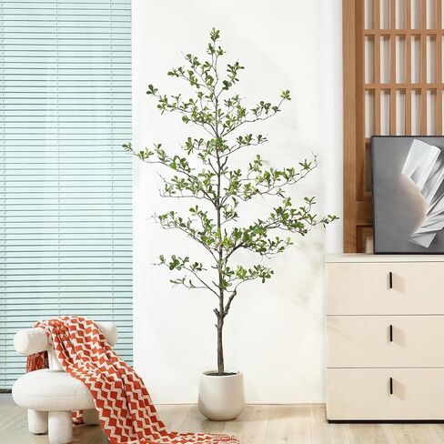 شجرة زيتون سوداء اصطناعية ، شجرة سيدة مظللة ذات 6 أقدام ، شجرة مزيفة مع زارع أبيض وطحال مزيف ، نباتات واقعية ومساحات خضراء لديكور المكتب المنزلي in Kuwait