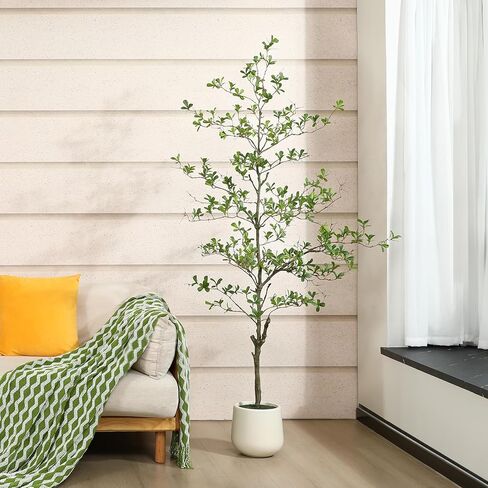 شجرة زيتون سوداء اصطناعية ، شجرة سيدة مظللة ذات 6 أقدام ، شجرة مزيفة مع زارع أبيض وطحال مزيف ، نباتات واقعية ومساحات خضراء لديكور المكتب المنزلي in Kuwait