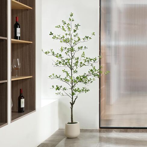 شجرة زيتون سوداء اصطناعية ، شجرة سيدة مظللة ذات 6 أقدام ، شجرة مزيفة مع زارع أبيض وطحال مزيف ، نباتات واقعية ومساحات خضراء لديكور المكتب المنزلي in Kuwait
