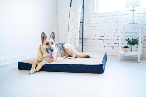La-Z-Boy Petmate Bentley Orthopedic Foam XX-Large Dog Bed Midnight Blue (50 x 40 x 4 inches) for Dogs up to 125lbs with Supportive Foam Durable Removable Washable Cover in Saudi Arabia